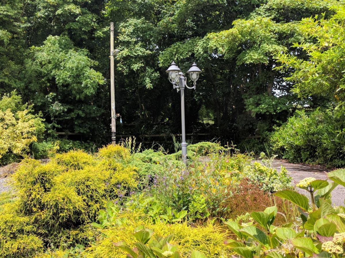 Lough Gara Lodge Self Catering Gorteen  Dış mekan fotoğraf